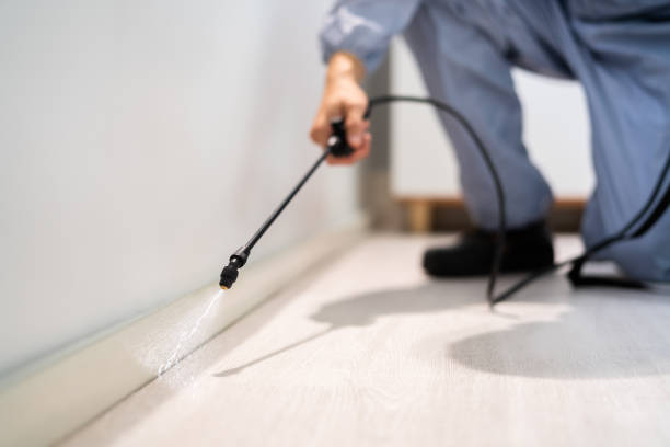 Licensed Pest Control service in Lake Lure, NC - Show Me Pest Control