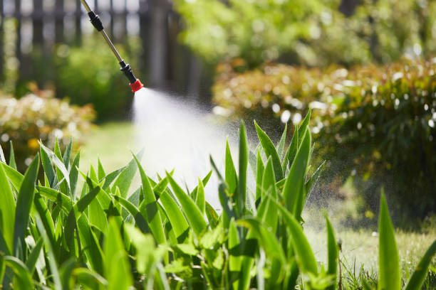 24/7 Emergency Mosquito Control experts in Lake Lure, NC