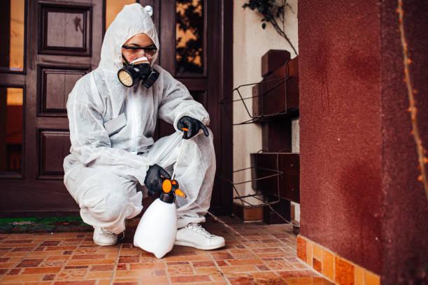 Reliable Mosquito Control contractor in Lake Lure, NC by Show Me Pest Control